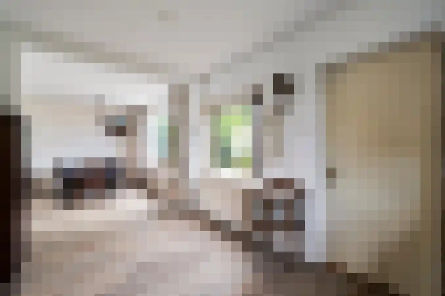 Burg. Mijnlieffstraat 8 Anna Paulowna thumbnail 22