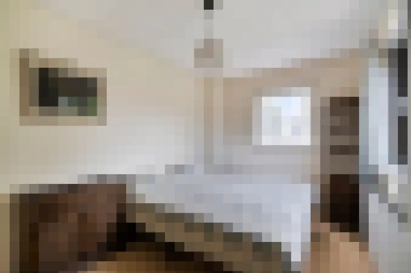 Burg. Mijnlieffstraat 8 Anna Paulowna thumbnail 34