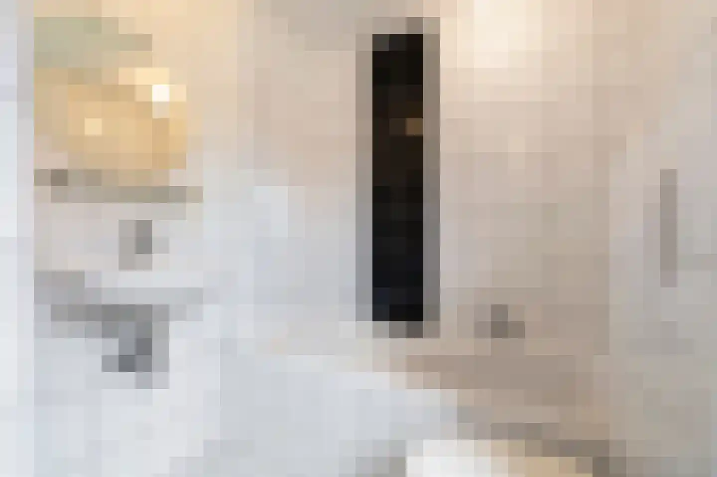 Burg. Mijnlieffstraat 8 Anna Paulowna thumbnail 37