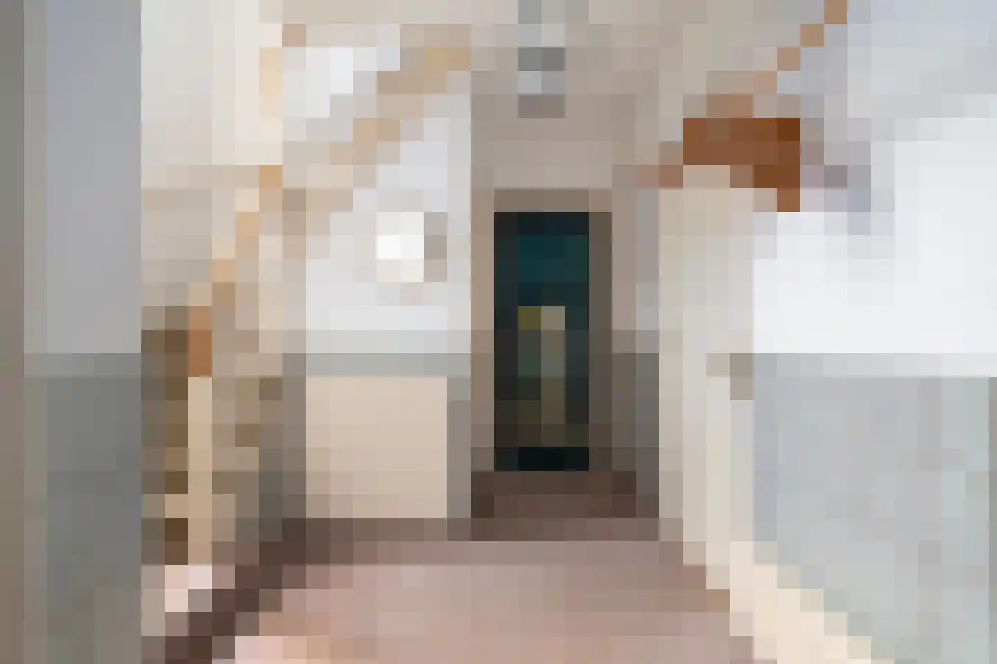 Burg. Mijnlieffstraat 8 Anna Paulowna thumbnail 4
