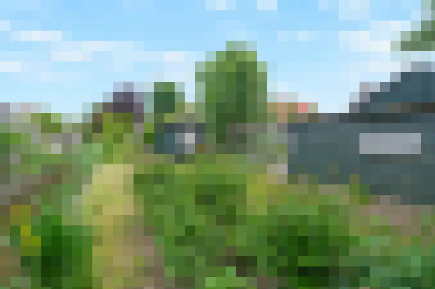 Burg. Mijnlieffstraat 8 Anna Paulowna thumbnail 45