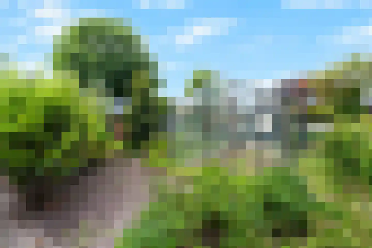 Burg. Mijnlieffstraat 8 Anna Paulowna thumbnail 49