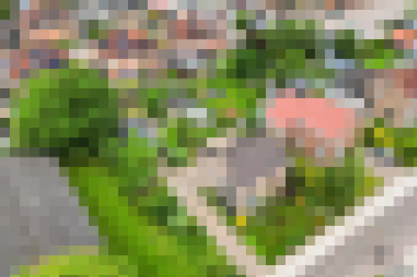 Burg. Mijnlieffstraat 8 Anna Paulowna thumbnail 51
