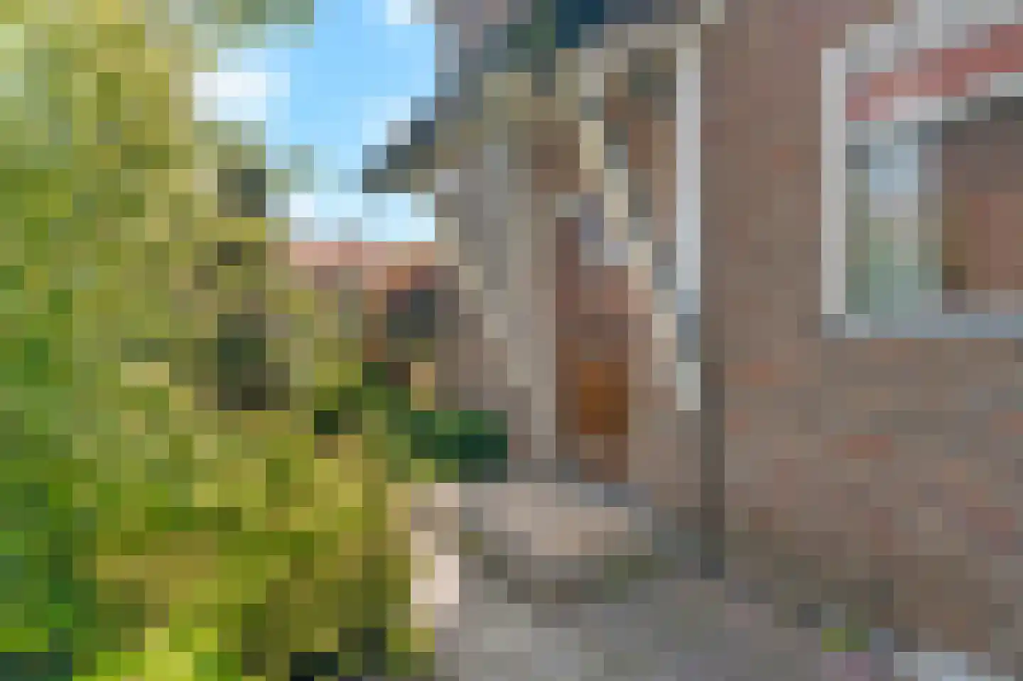 Burg. Mijnlieffstraat 8 Anna Paulowna thumbnail 8