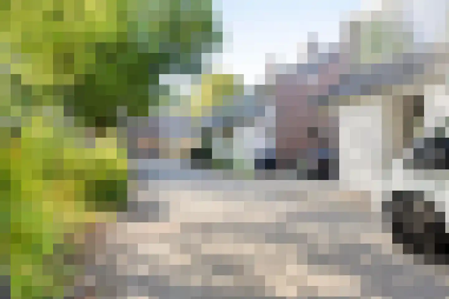Burg. Molenaarhoeven 113 A Rosmalen thumbnail 4