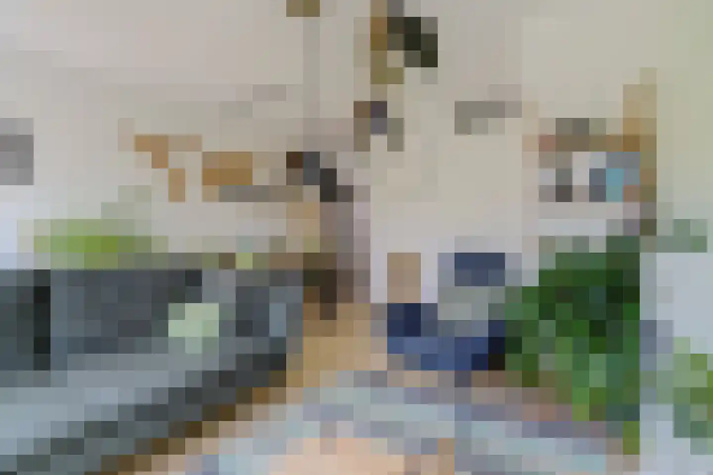 Burg. Moonshof 26 Raamsdonk thumbnail 11