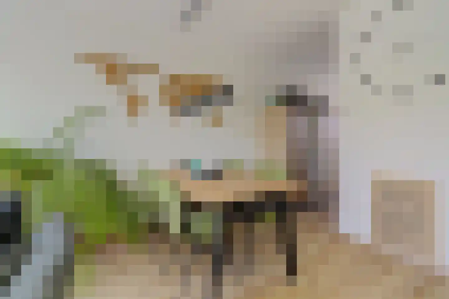 Burg. Moonshof 26 Raamsdonk thumbnail 14