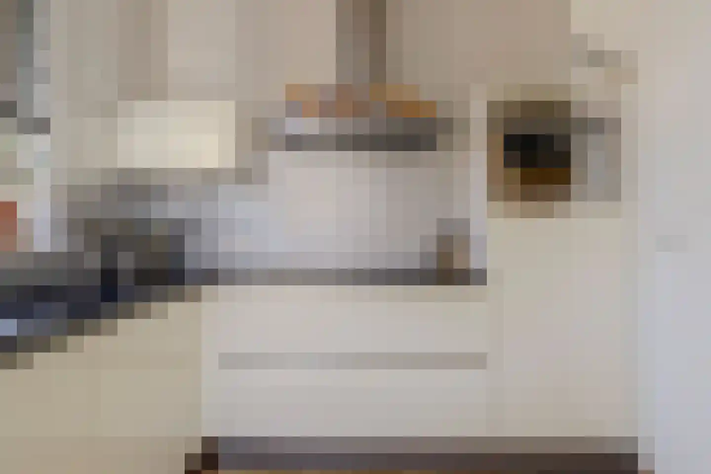 Burg. Moonshof 26 Raamsdonk thumbnail 17
