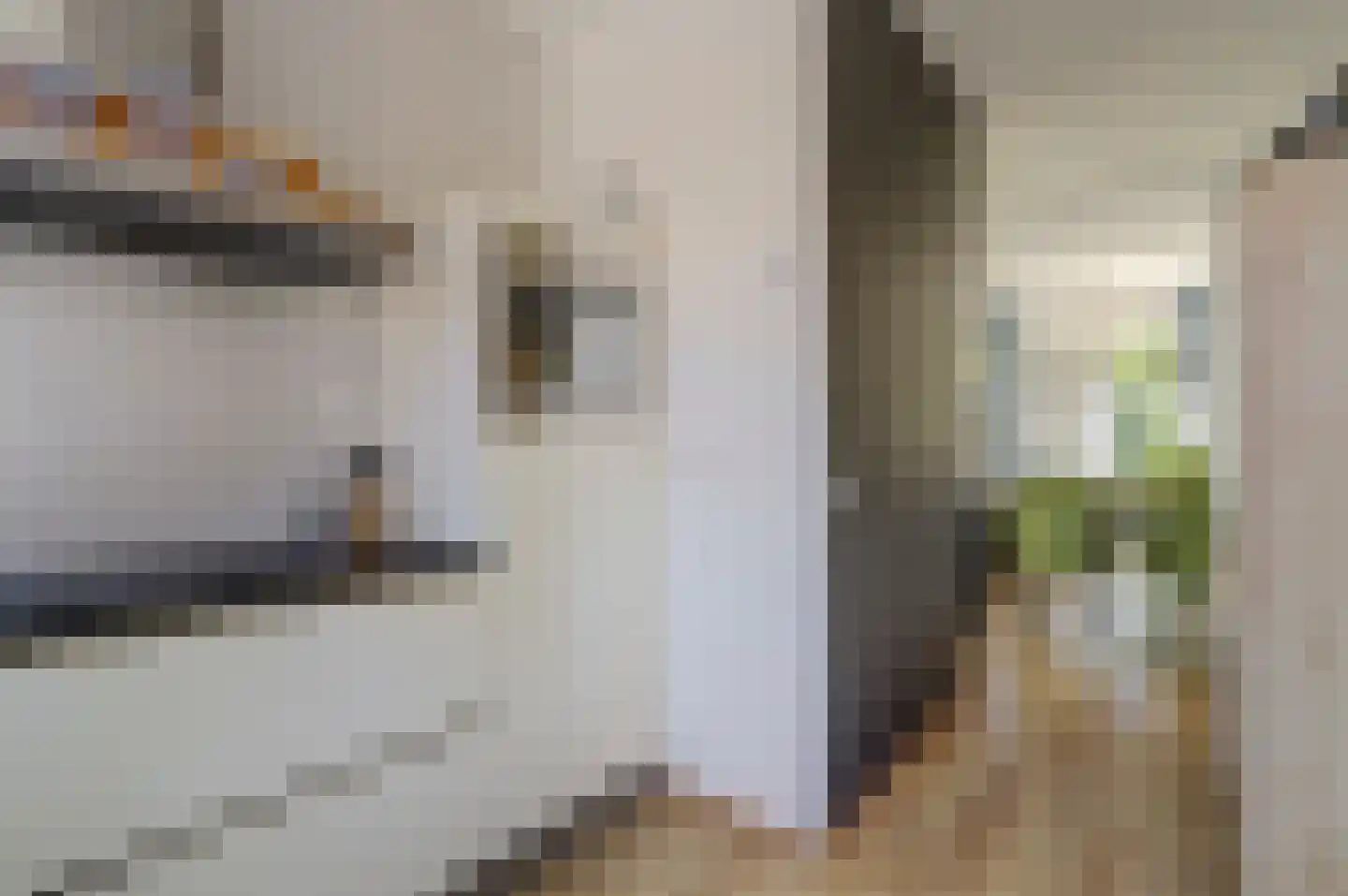 Burg. Moonshof 26 Raamsdonk thumbnail 18