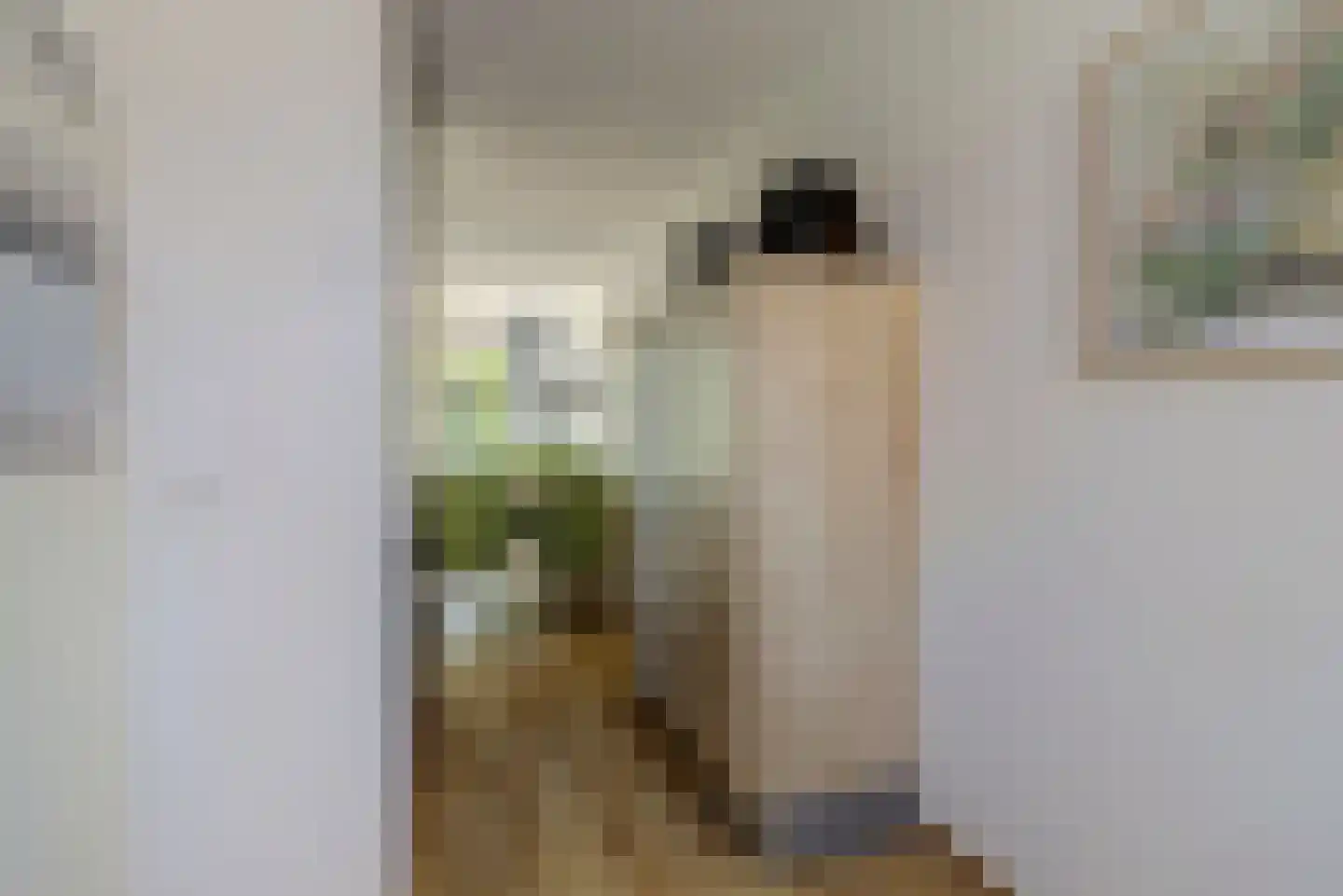 Burg. Moonshof 26 Raamsdonk thumbnail 19