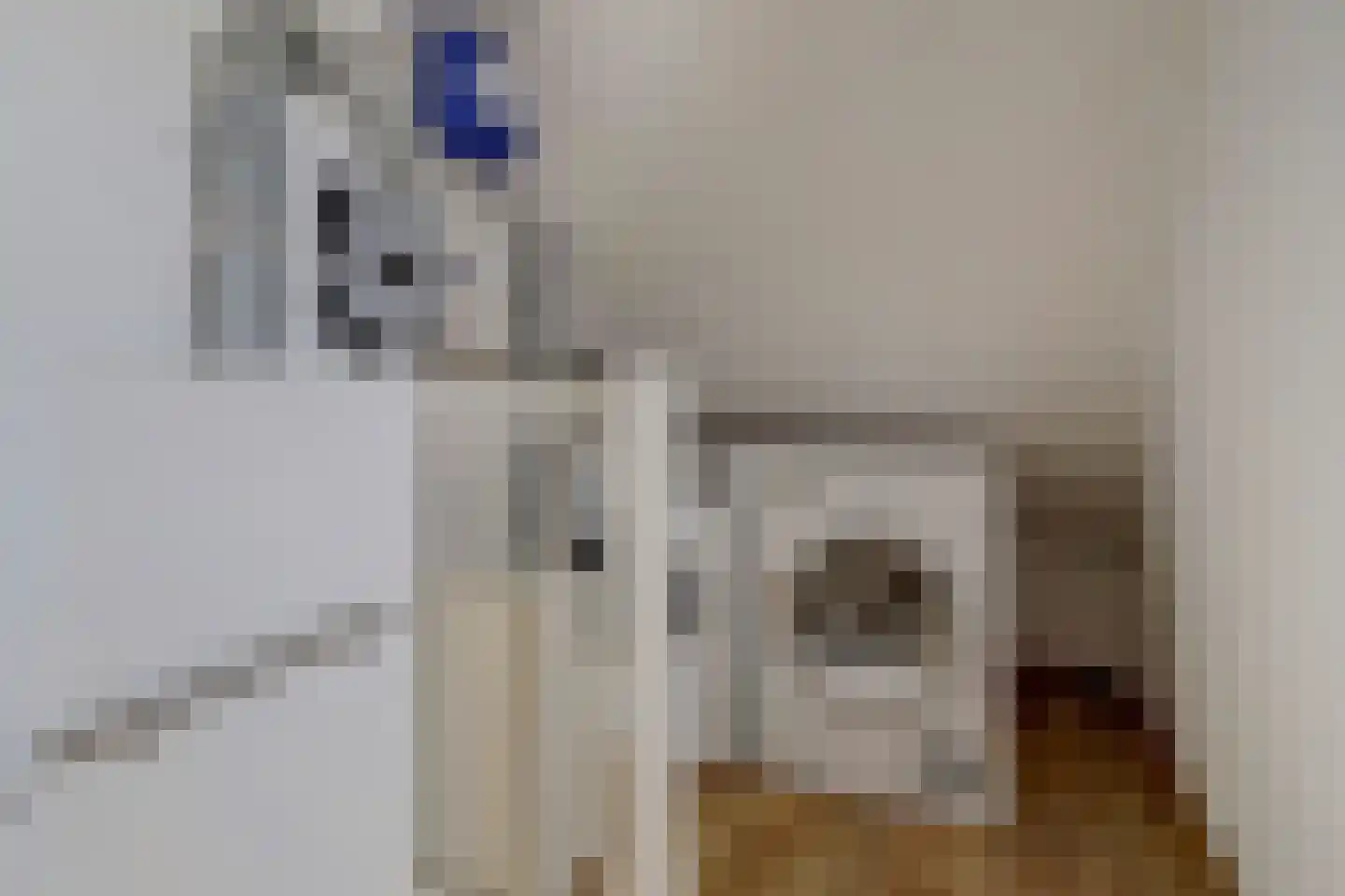 Burg. Moonshof 26 Raamsdonk thumbnail 27
