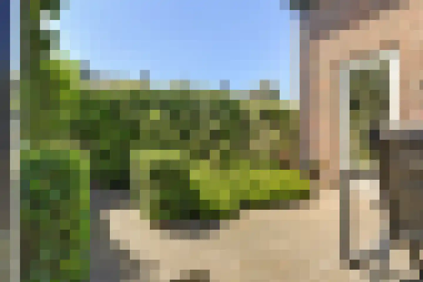 Burg. Moonshof 26 Raamsdonk thumbnail 33