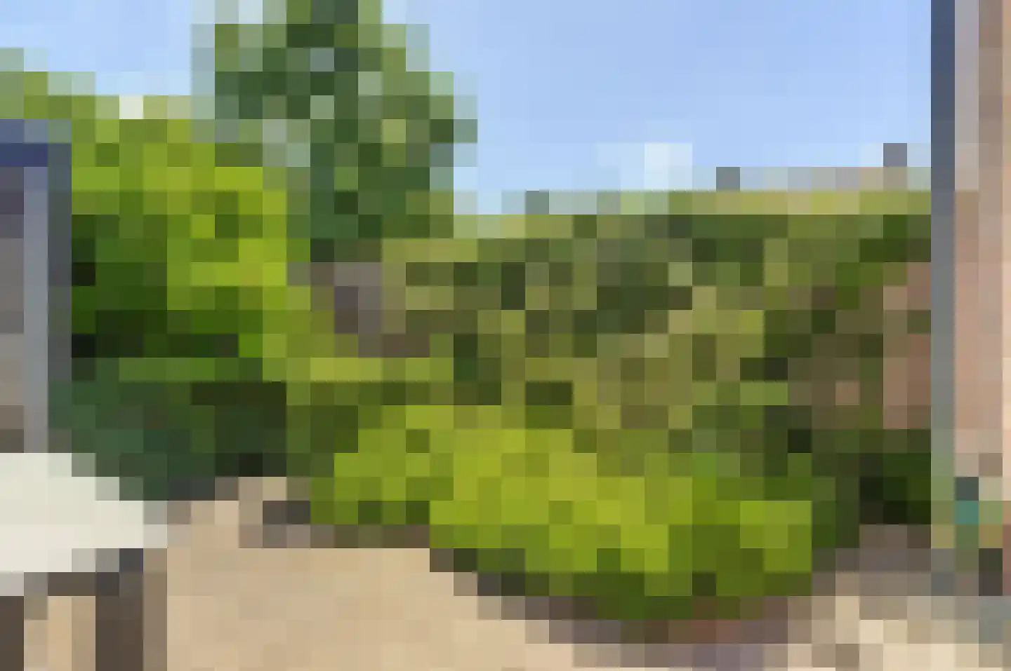 Burg. Moonshof 26 Raamsdonk thumbnail 35