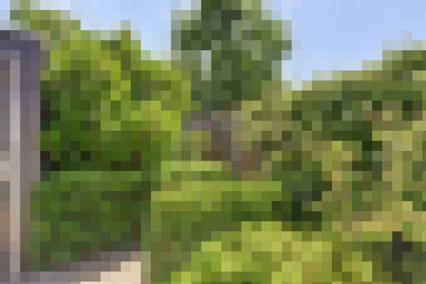 Burg. Moonshof 26 Raamsdonk thumbnail 36