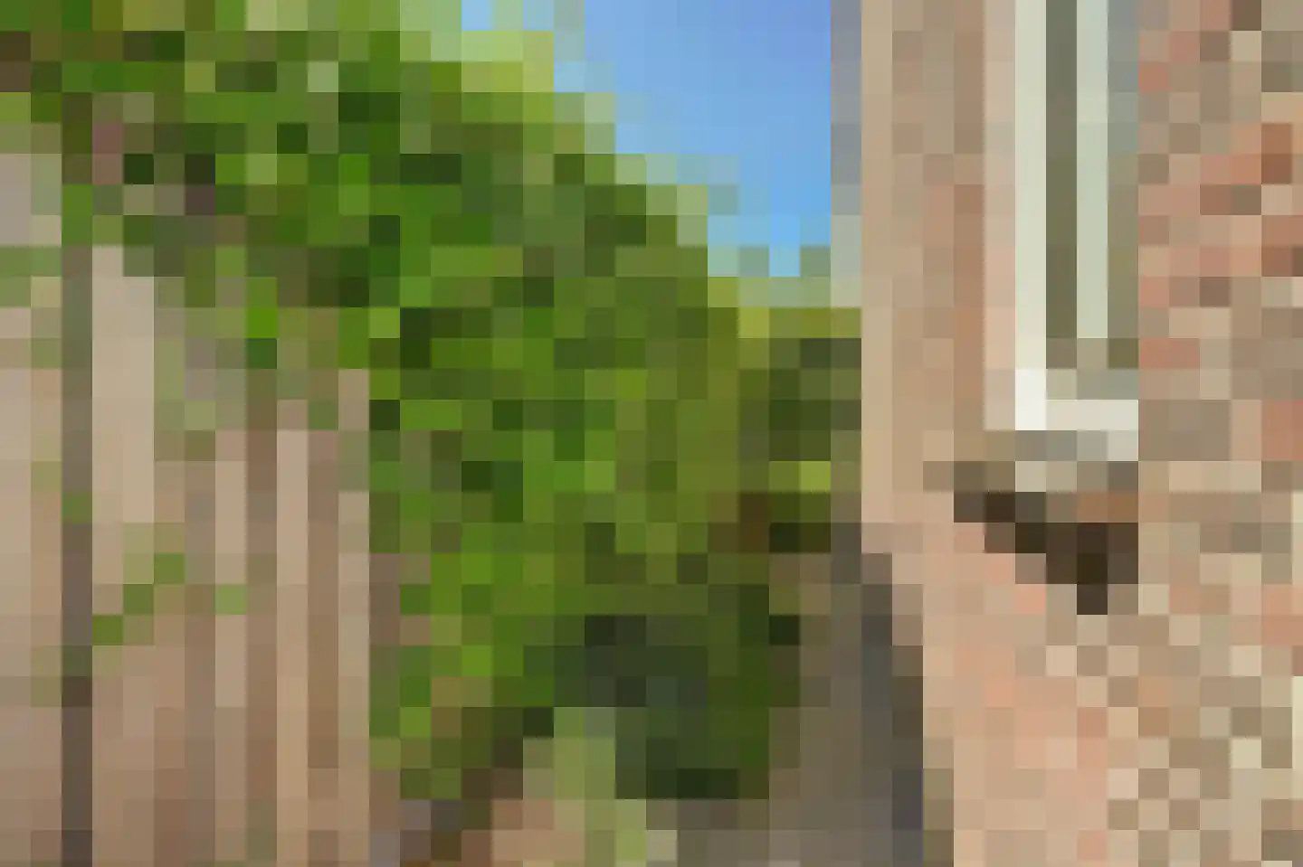 Burg. Moonshof 26 Raamsdonk thumbnail 37