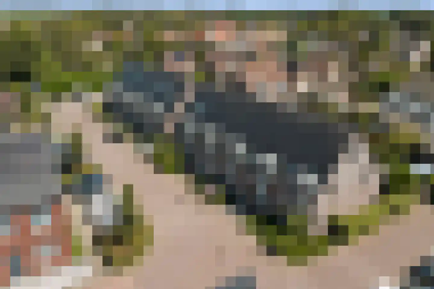 Burg. Moonshof 26 Raamsdonk thumbnail 41