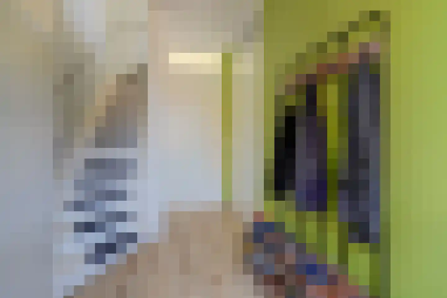 Burg. Moonshof 26 Raamsdonk thumbnail 5