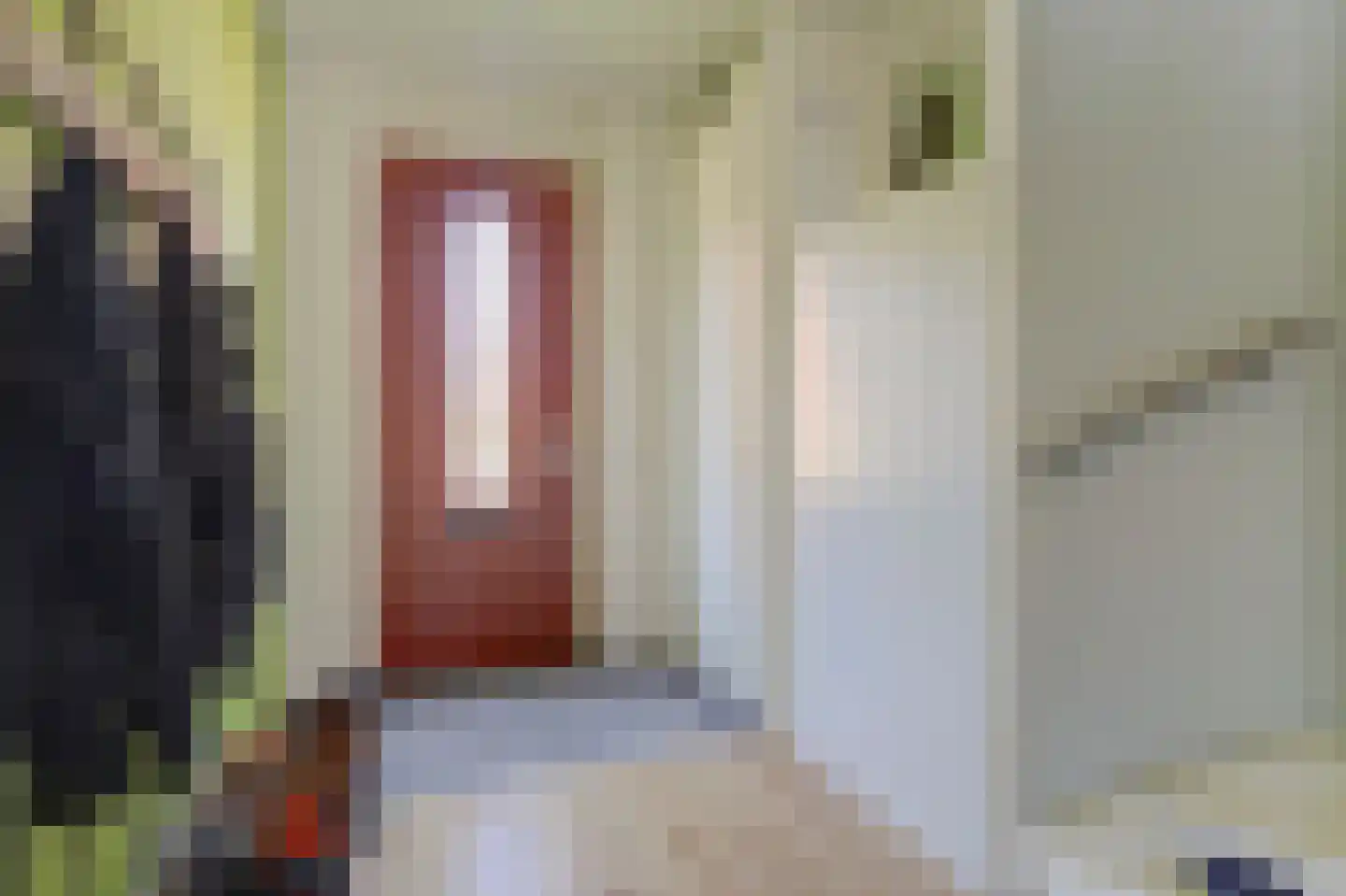 Burg. Moonshof 26 Raamsdonk thumbnail 6