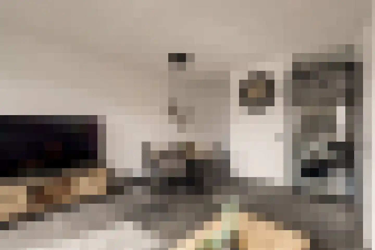 Burg. Moonshof 28 Raamsdonk thumbnail 12