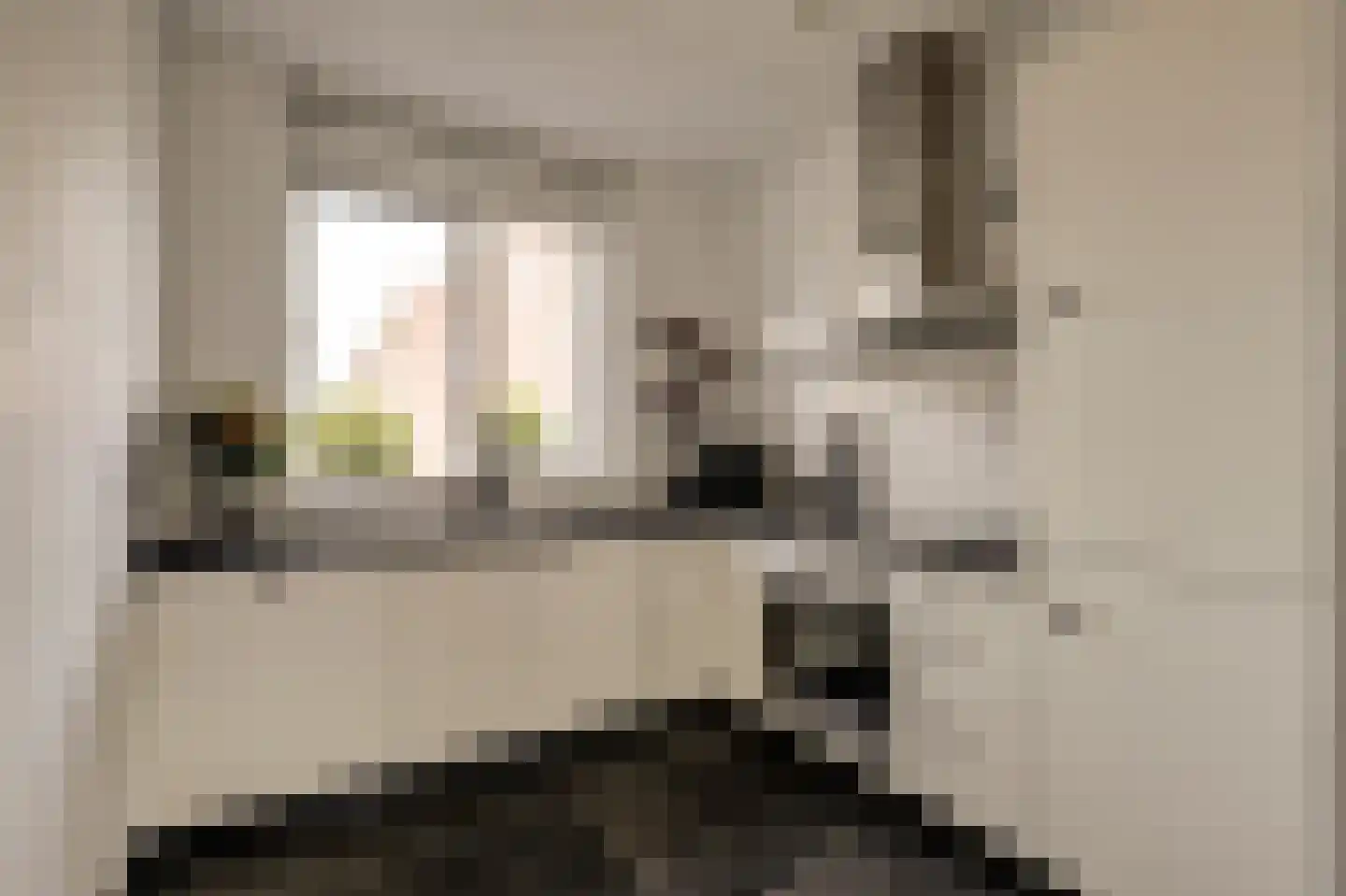Burg. Moonshof 28 Raamsdonk thumbnail 16
