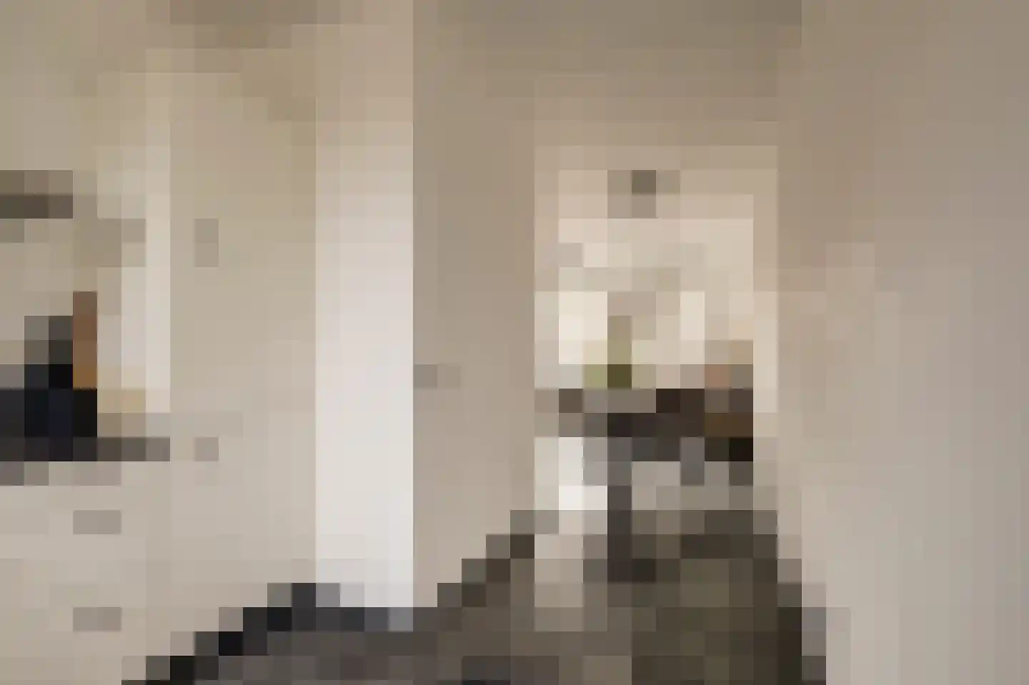Burg. Moonshof 28 Raamsdonk thumbnail 20