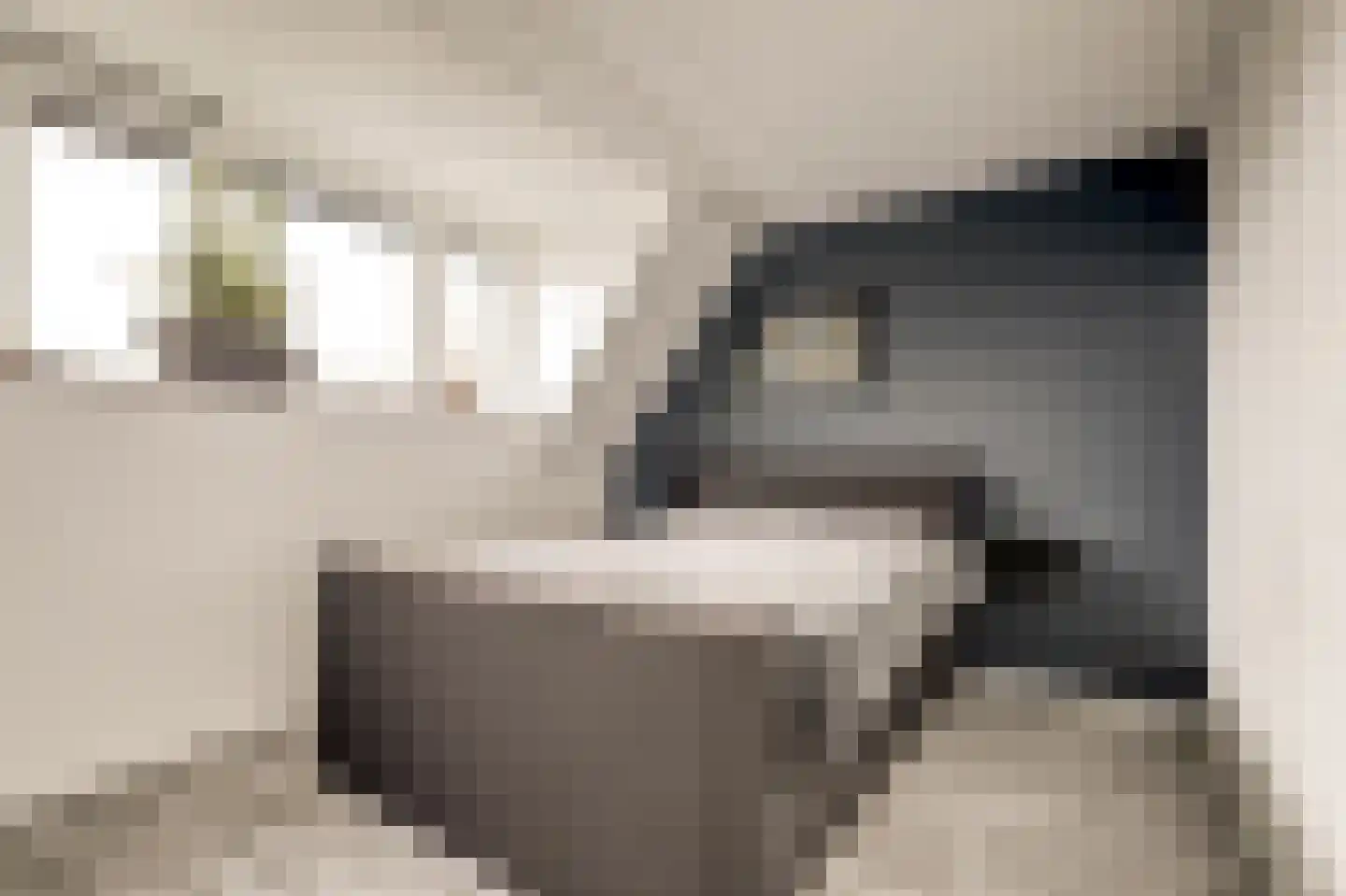 Burg. Moonshof 28 Raamsdonk thumbnail 22