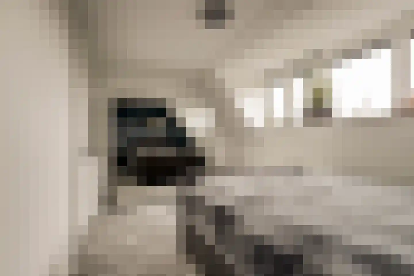 Burg. Moonshof 28 Raamsdonk thumbnail 23