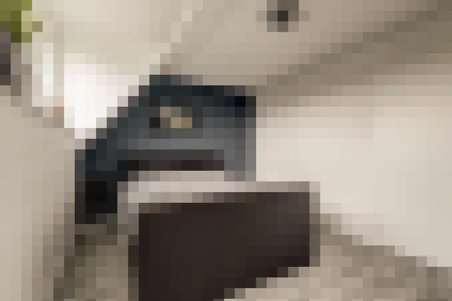 Burg. Moonshof 28 Raamsdonk thumbnail 24