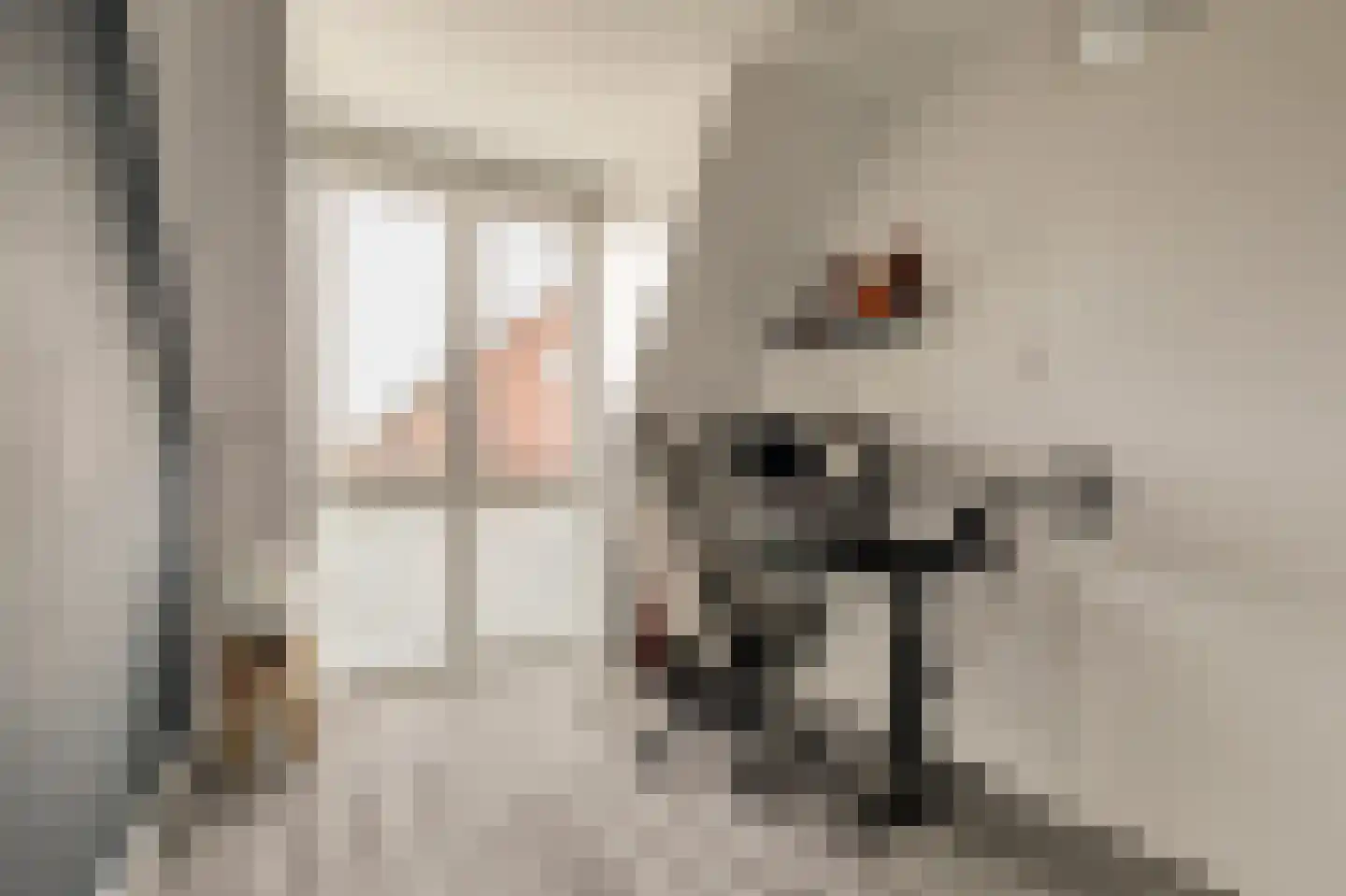 Burg. Moonshof 28 Raamsdonk thumbnail 25