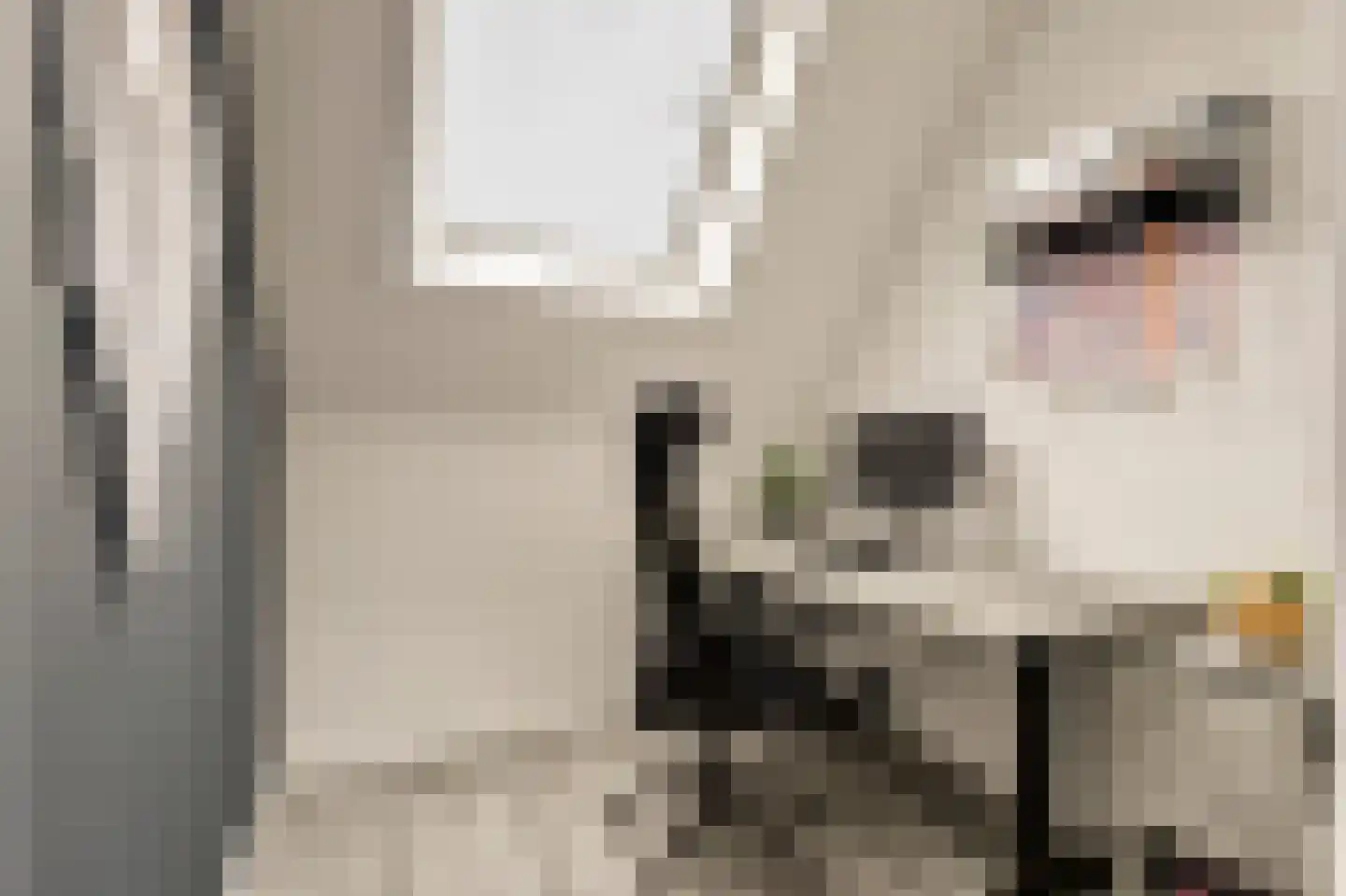 Burg. Moonshof 28 Raamsdonk thumbnail 27