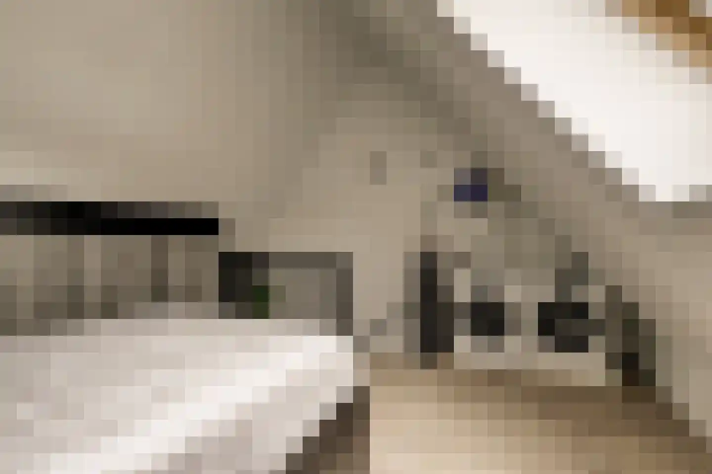 Burg. Moonshof 28 Raamsdonk thumbnail 35
