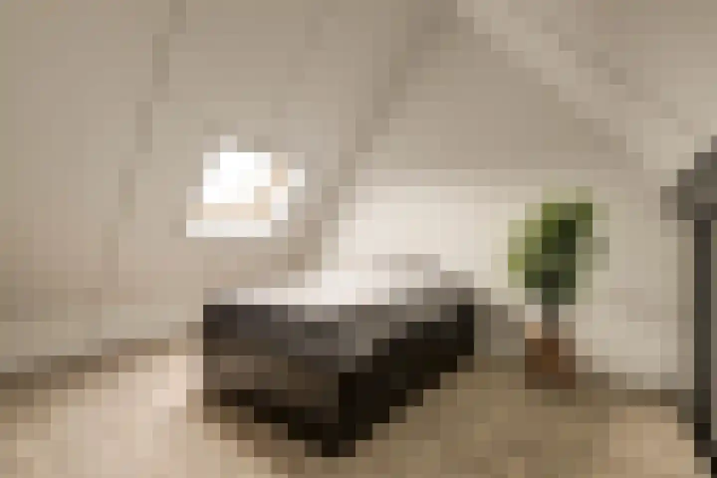 Burg. Moonshof 28 Raamsdonk thumbnail 36