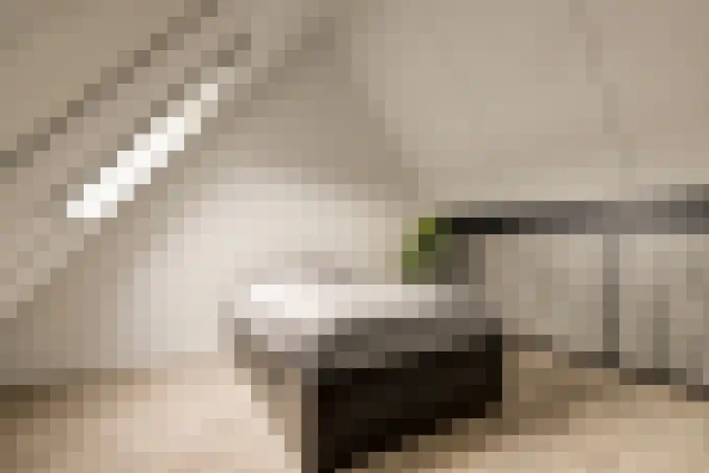 Burg. Moonshof 28 Raamsdonk thumbnail 37