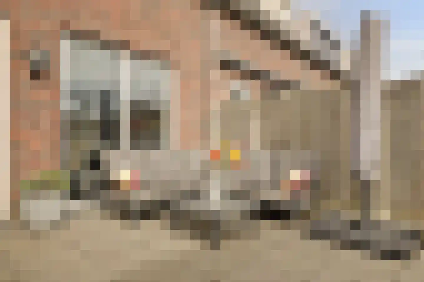 Burg. Moonshof 28 Raamsdonk thumbnail 38
