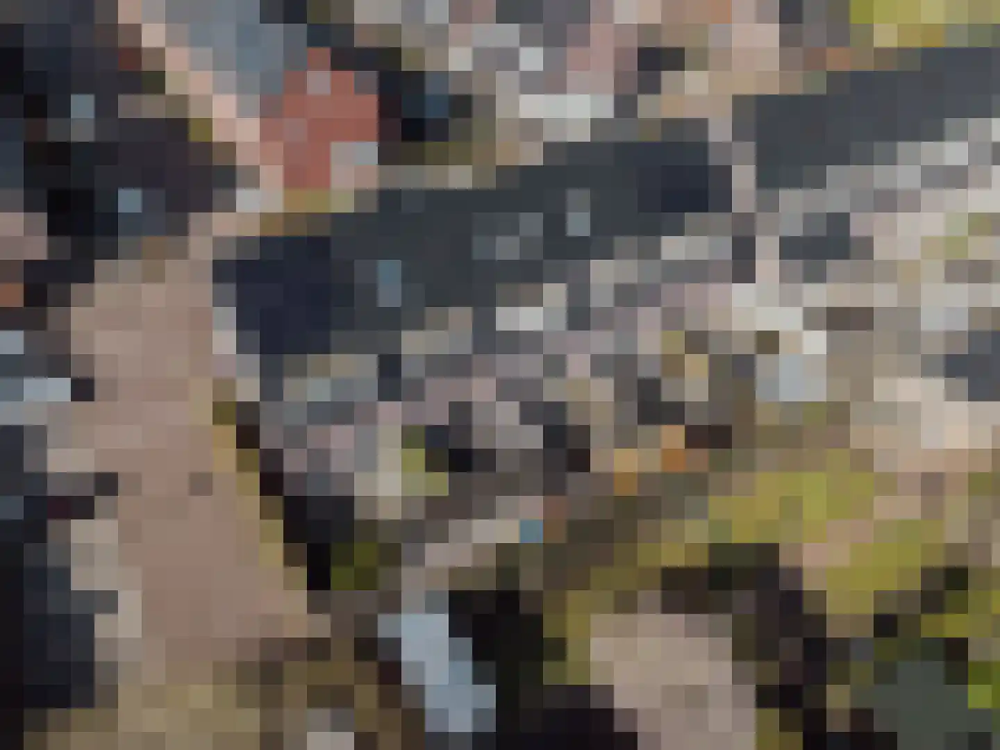 Burg. Moonshof 28 Raamsdonk thumbnail 42
