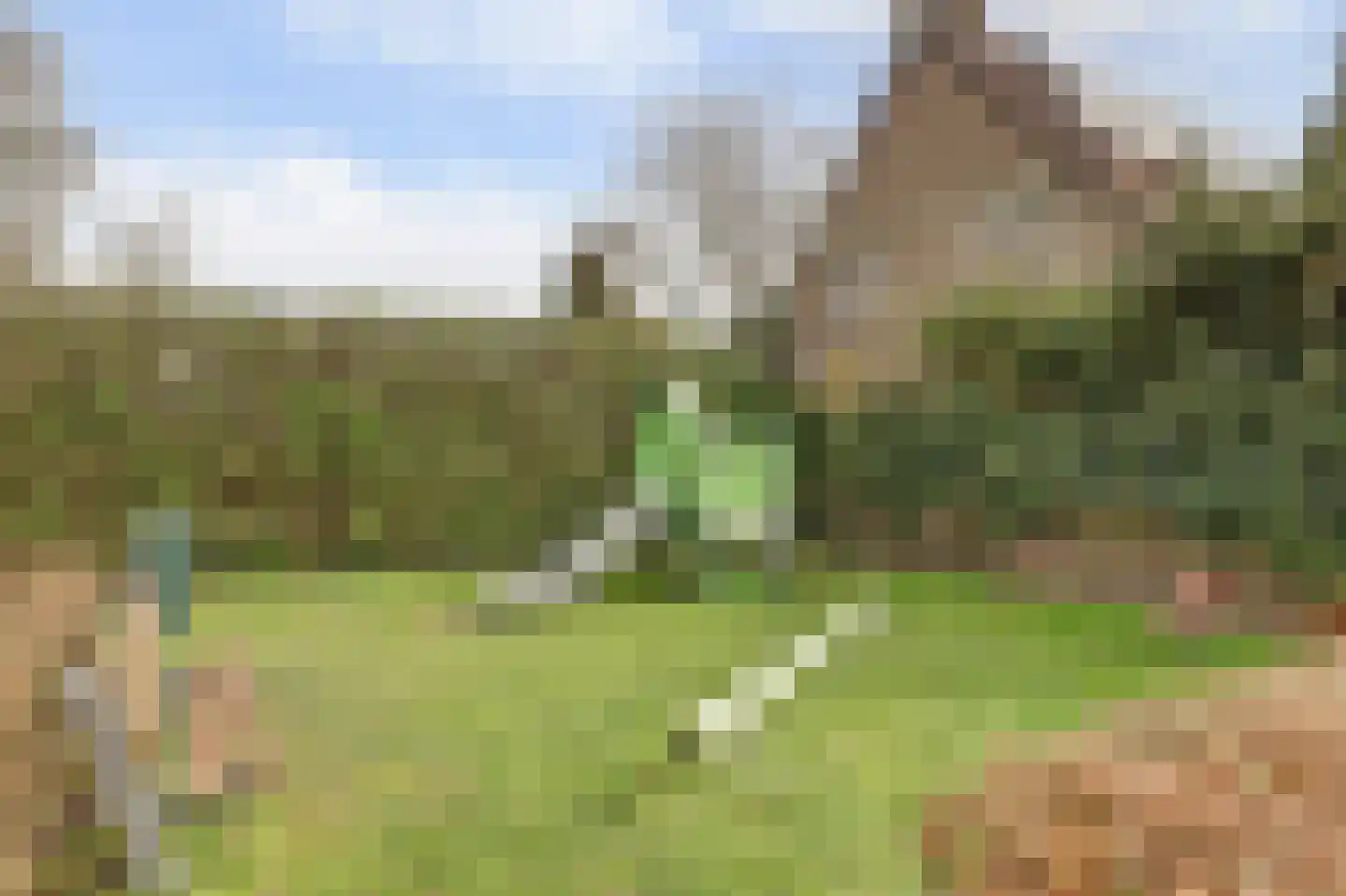 Burg. Moonshof 28 Raamsdonk thumbnail 46
