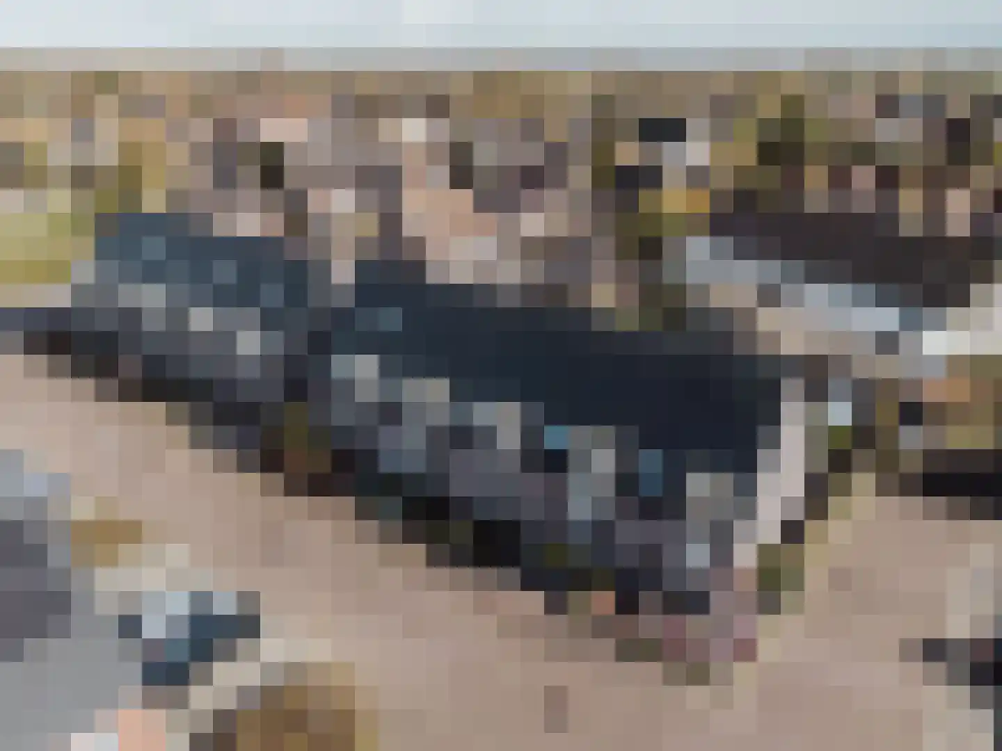 Burg. Moonshof 28 Raamsdonk thumbnail 47