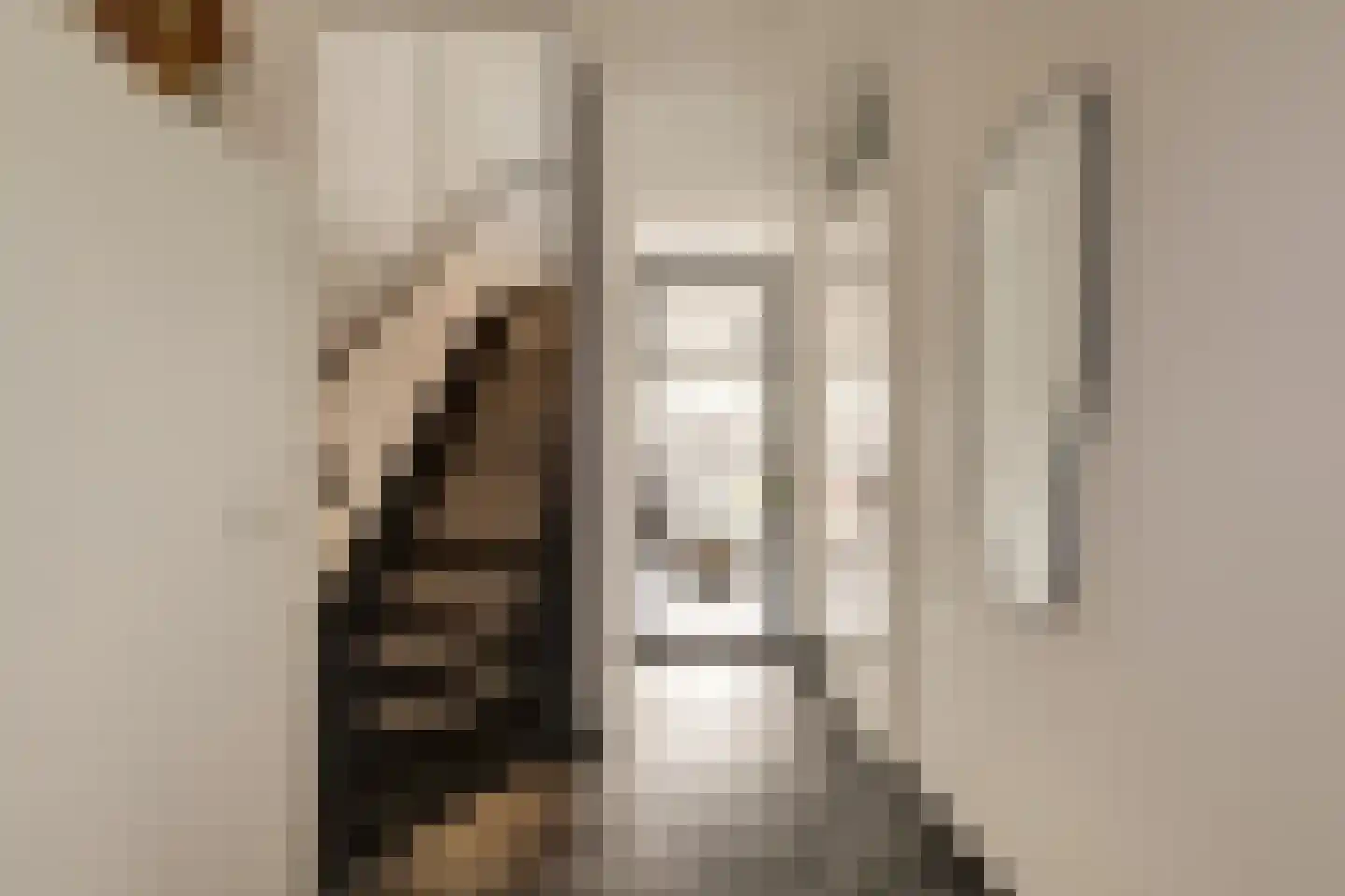Burg. Moonshof 28 Raamsdonk thumbnail 6
