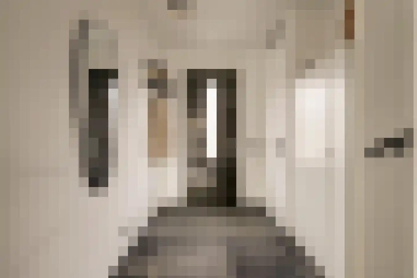 Burg. Moonshof 28 Raamsdonk thumbnail 7