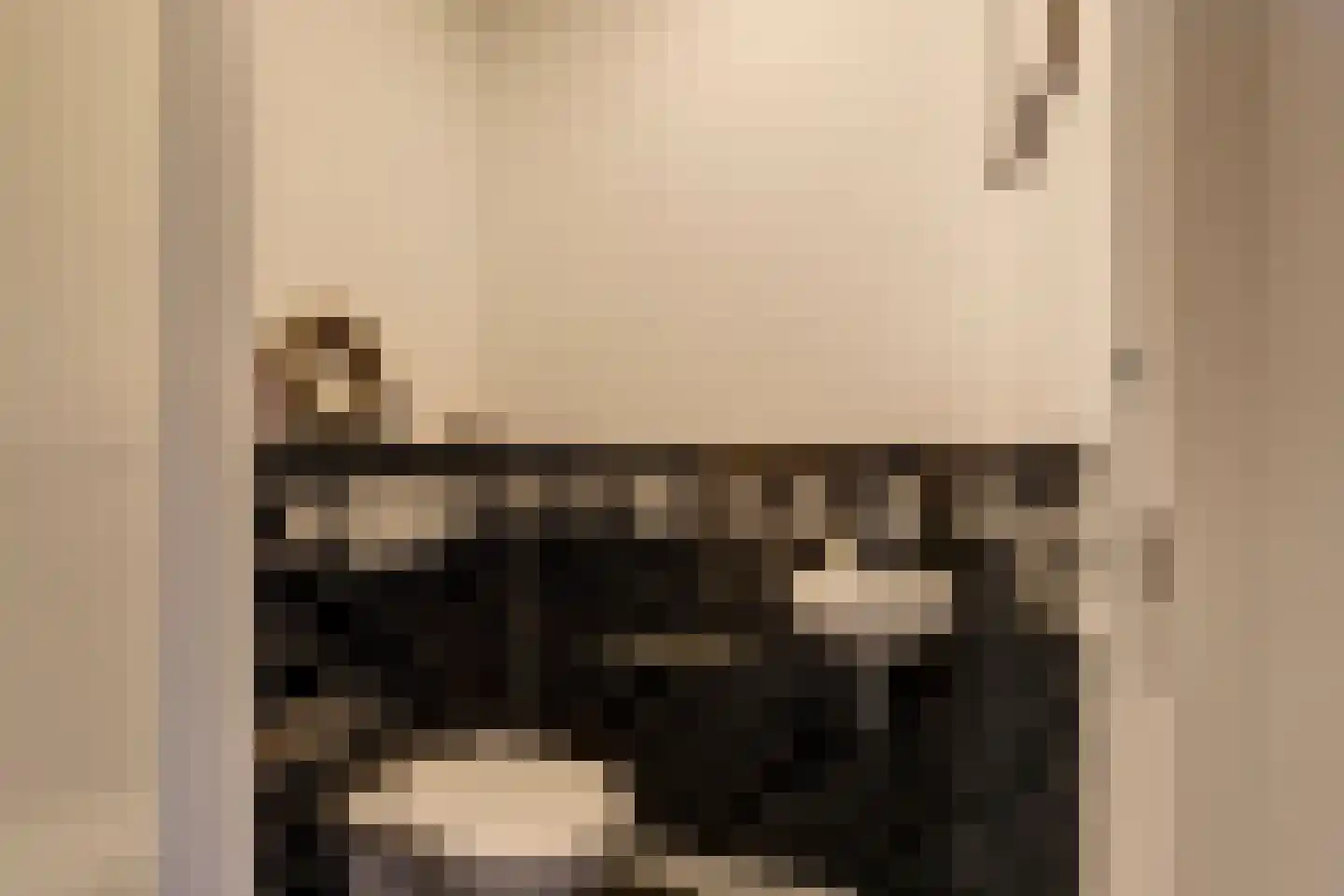 Burg. Moonshof 28 Raamsdonk thumbnail 8