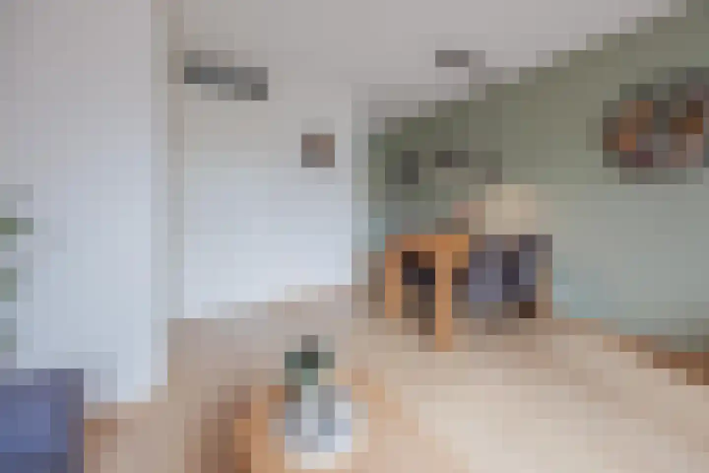 Burg. Moonshof 38 Raamsdonk thumbnail 16