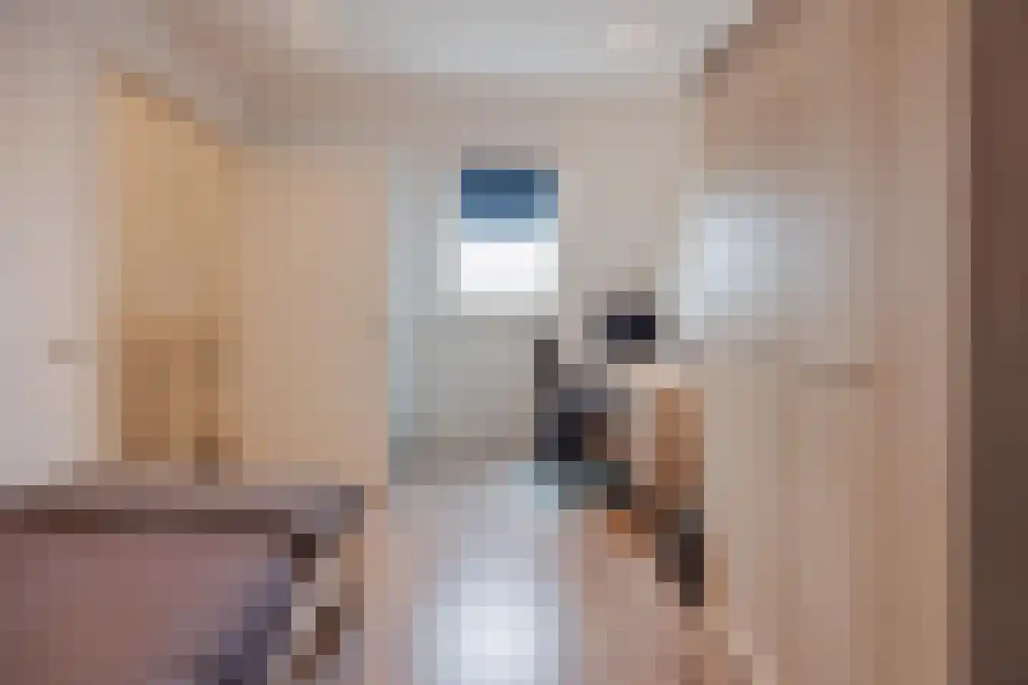 Burg. Moonshof 38 Raamsdonk thumbnail 35