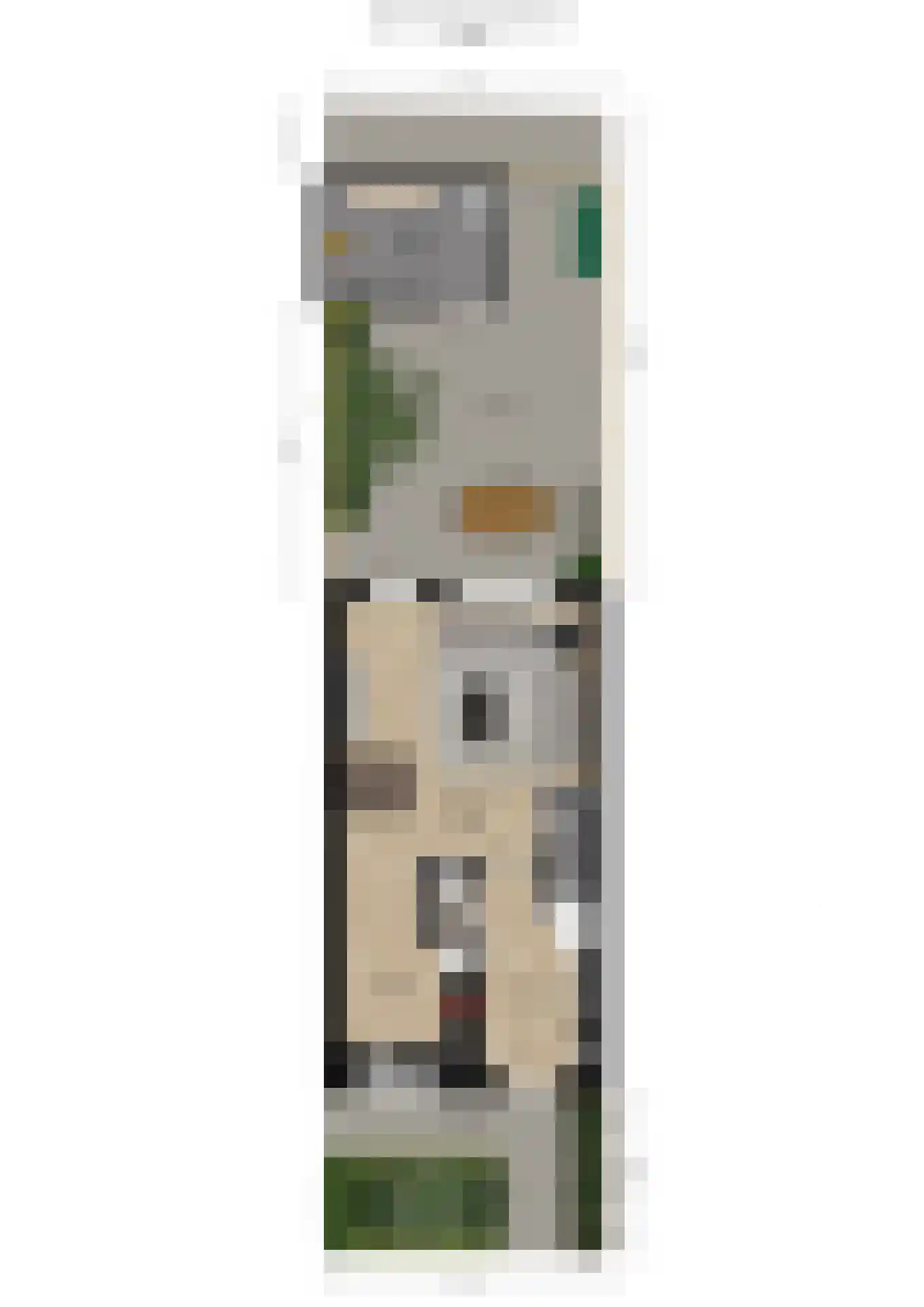 Burg. Moonshof 38 Raamsdonk thumbnail 49