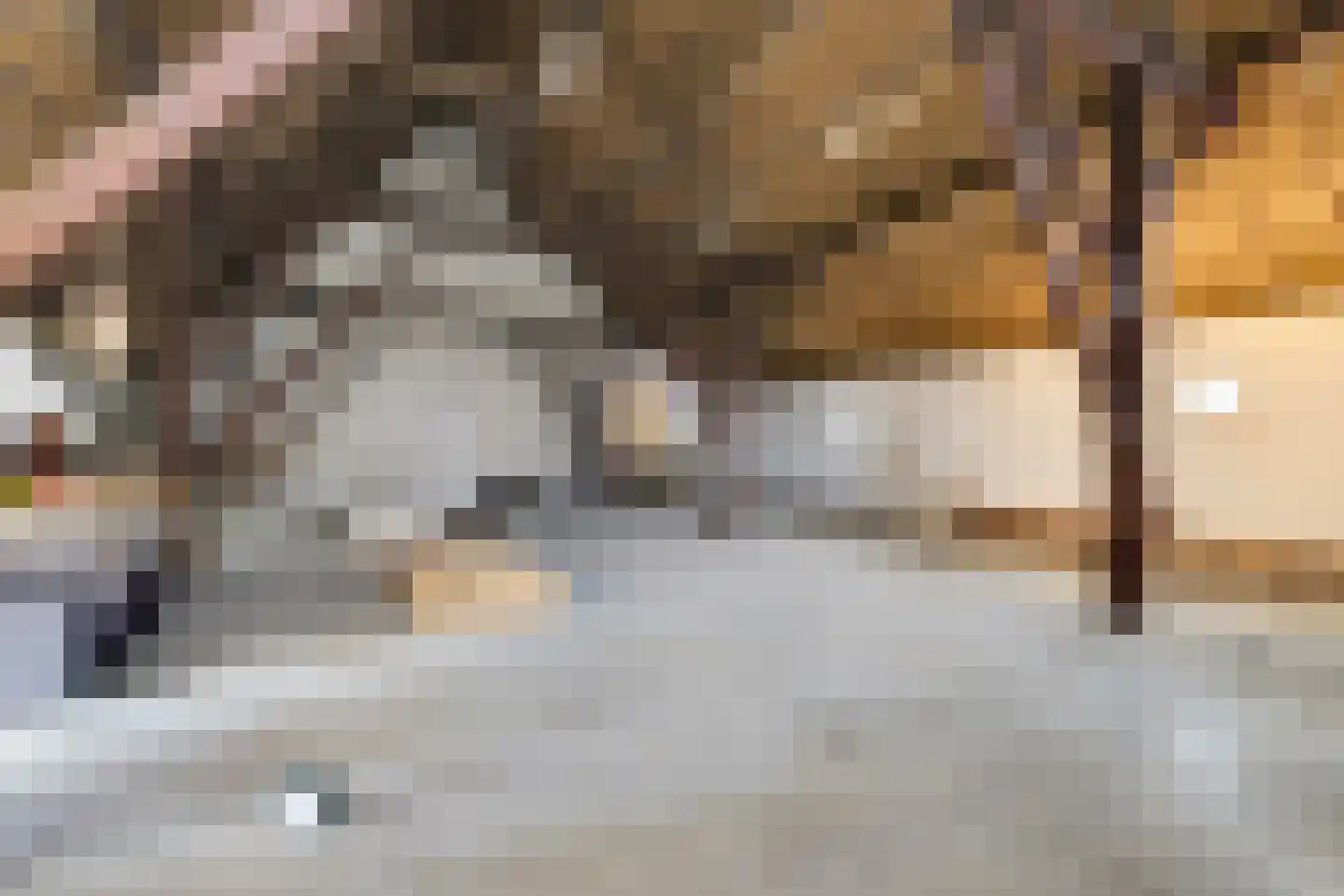 Burg. Moonshof 50 Raamsdonk thumbnail 11