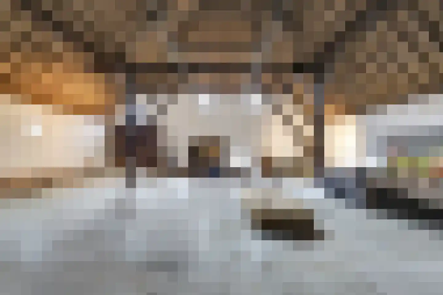 Burg. Moonshof 50 Raamsdonk thumbnail 12
