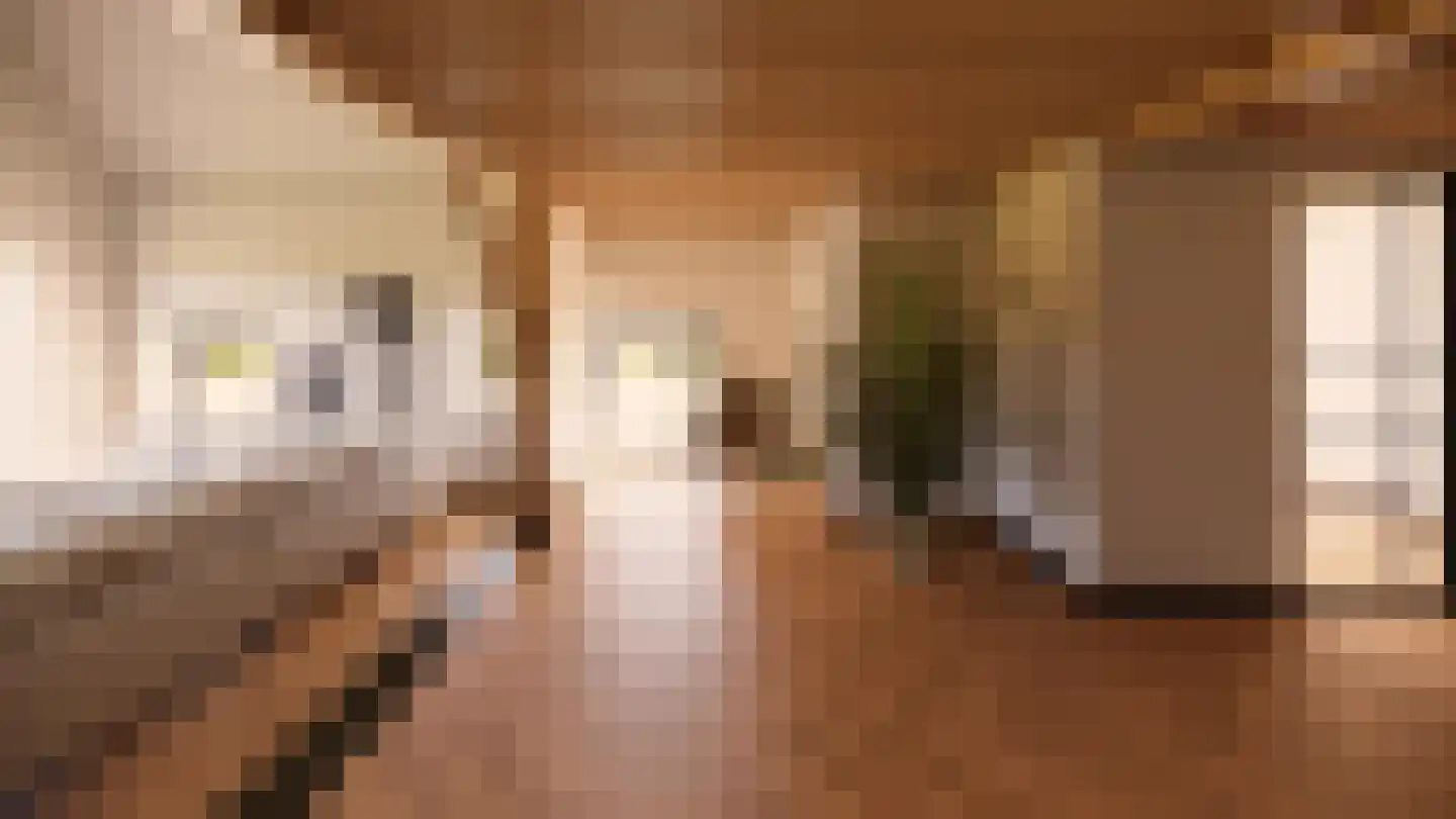 Burg. Moonshof 50 Raamsdonk thumbnail 4