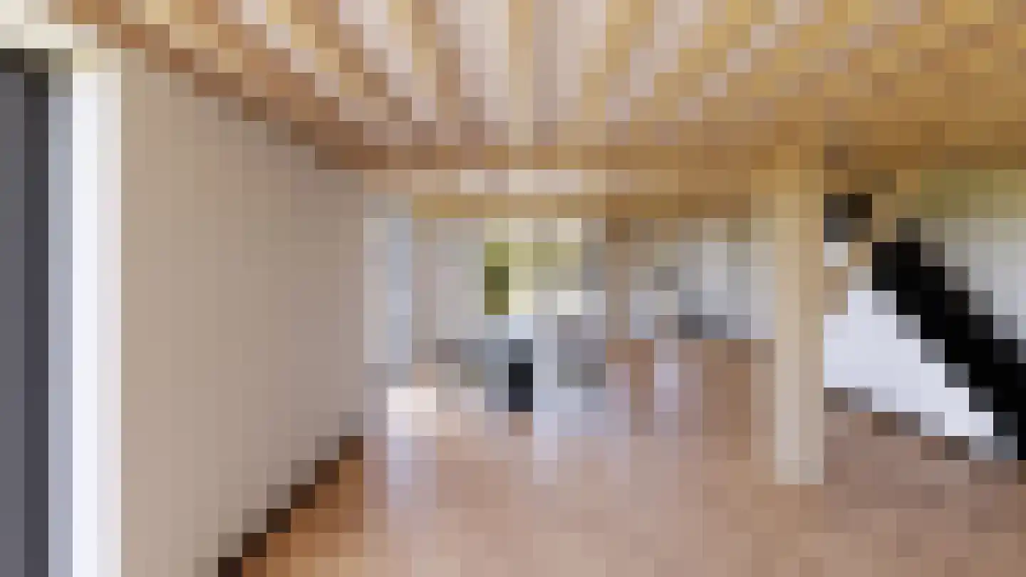 Burg. Moonshof 50 Raamsdonk thumbnail 5