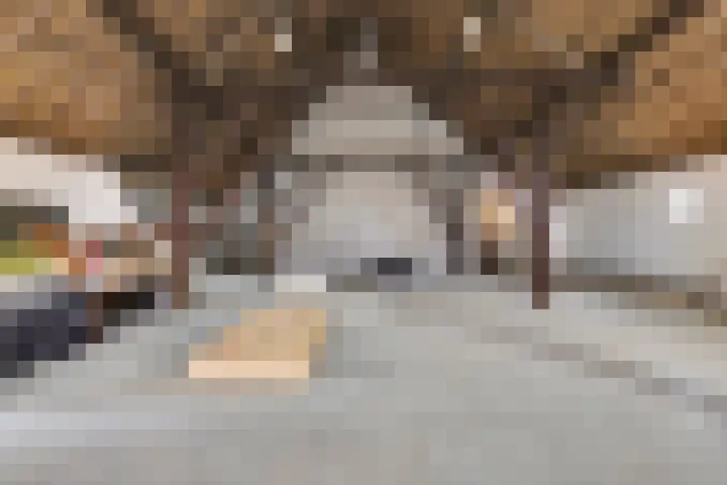 Burg. Moonshof 52 Raamsdonk thumbnail 13