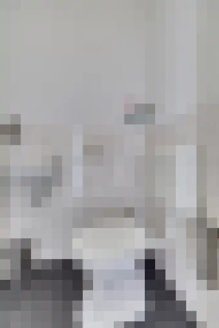 Burg. Moonshof 8 Raamsdonk thumbnail 10