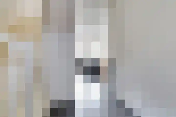 Burg. Moonshof 8 Raamsdonk thumbnail 11